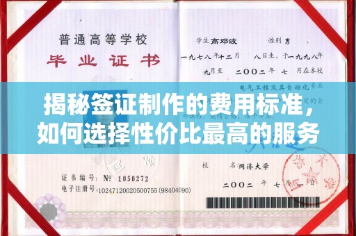 中站揭秘签证制作的费用标准，如何选择性价比最高的服务？