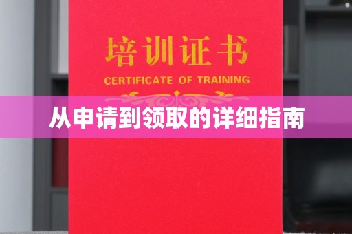 中站从申请到领取的详细指南