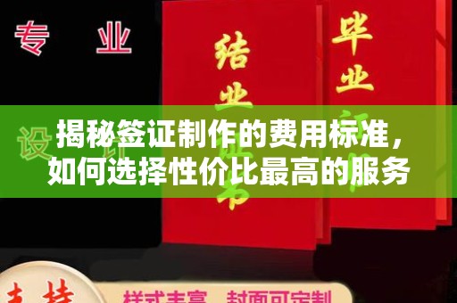 中站揭秘签证制作的费用标准，如何选择性价比最高的服务？