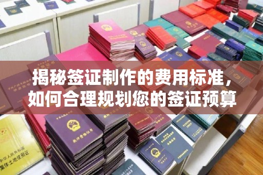 中站揭秘签证制作的费用标准，如何合理规划您的签证预算？
