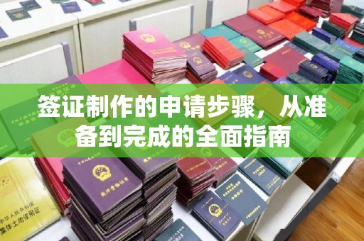 中站签证制作的申请步骤，从准备到完成的全面指南