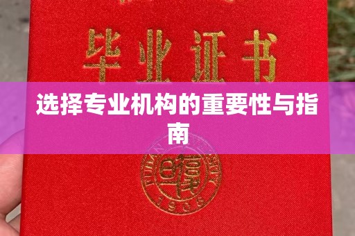 中站选择专业机构的重要性与指南