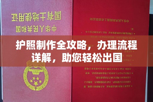 中站护照制作全攻略，办理流程详解，助您轻松出国