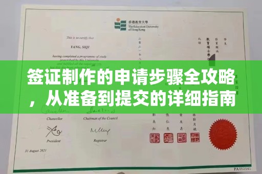 中站签证制作的申请步骤全攻略，从准备到提交的详细指南