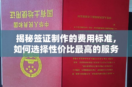 中站揭秘签证制作的费用标准，如何选择性价比最高的服务？