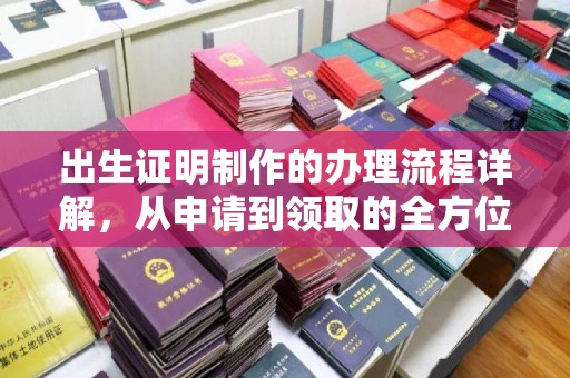 中站出生证明制作的办理流程详解，从申请到领取的全方位指南