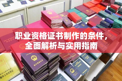 中站职业资格证书制作的条件，全面解析与实用指南