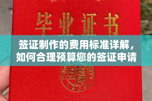 中站签证制作的费用标准详解，如何合理预算您的签证申请成本